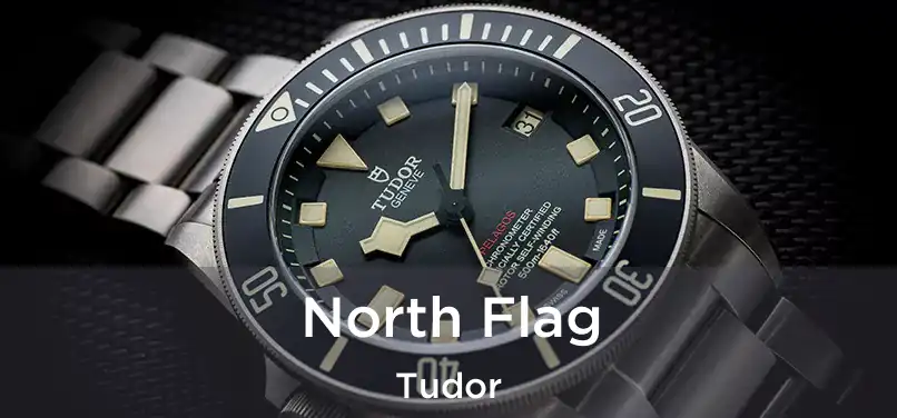  North Flag Tudor